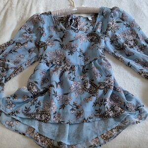 American Eagle Outfitters Blue and Pink Floral Top